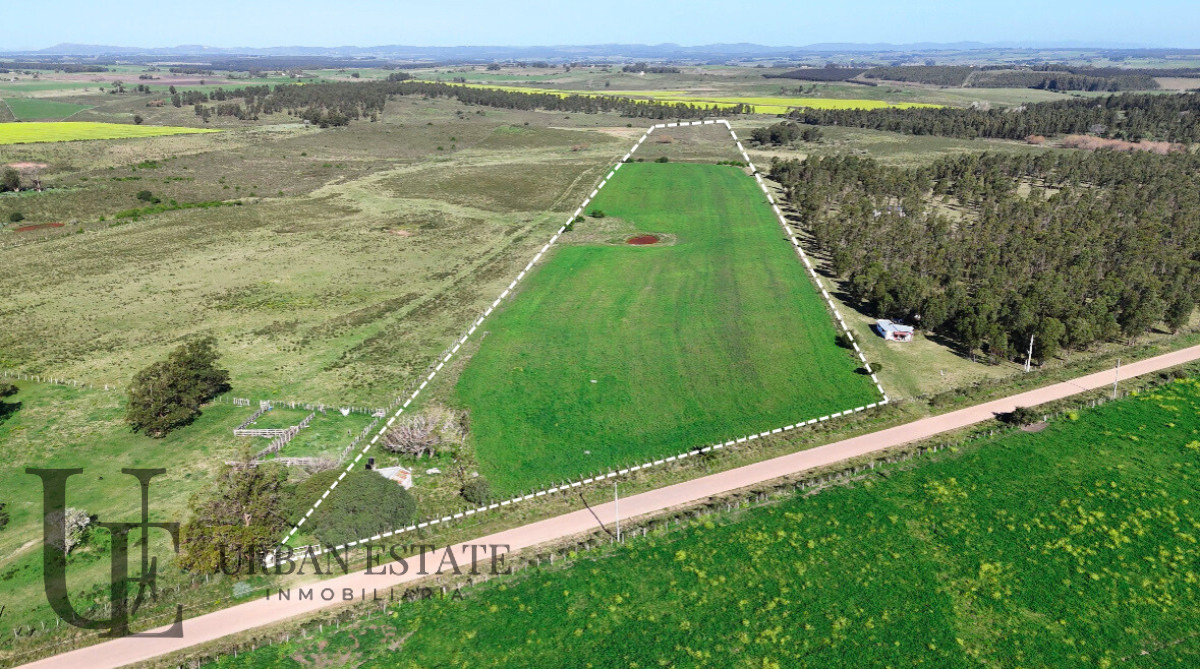 Campo Ref.586 - Campo en Venta Villa del Rosario Lavalleja 10 Has 