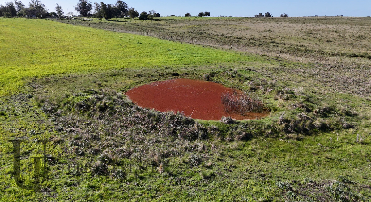 Campo Ref.586 - Campo en Venta Villa del Rosario Lavalleja 10 Has 