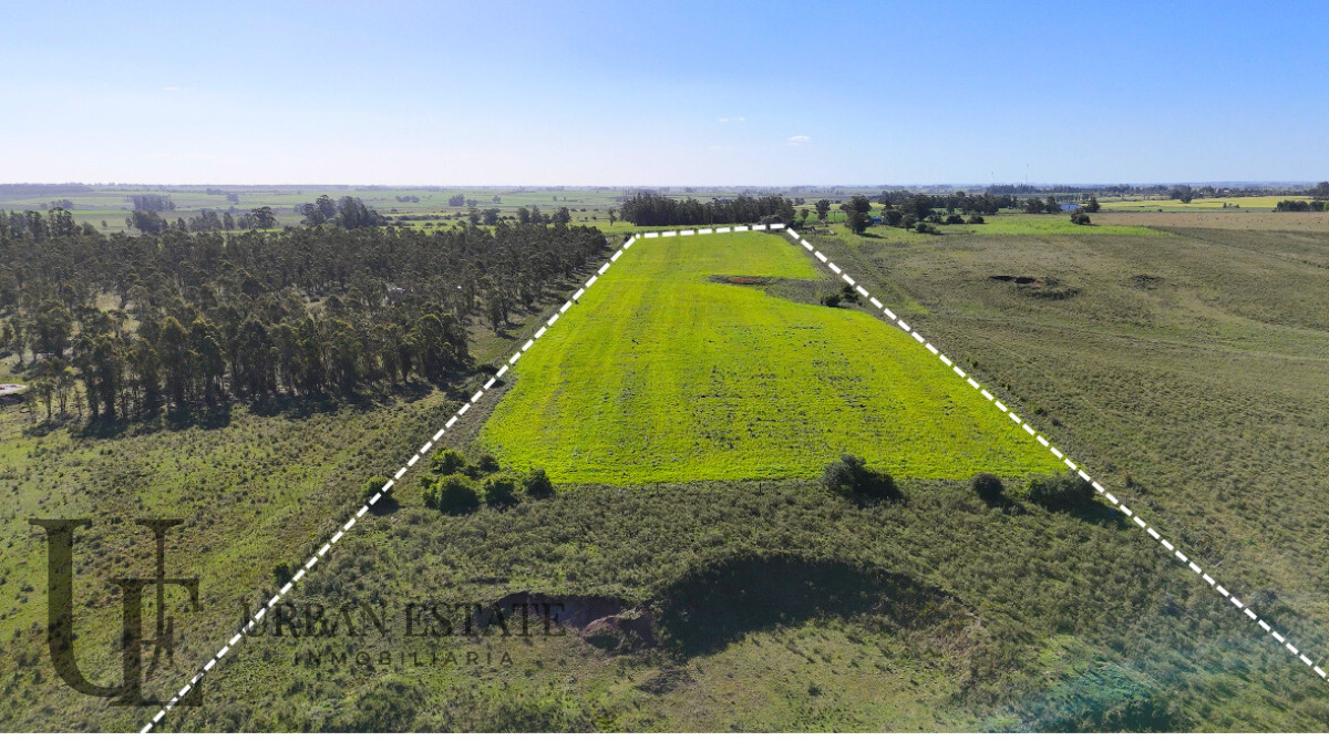 Campo Ref.586 - Campo en Venta Villa del Rosario Lavalleja 10 Has 