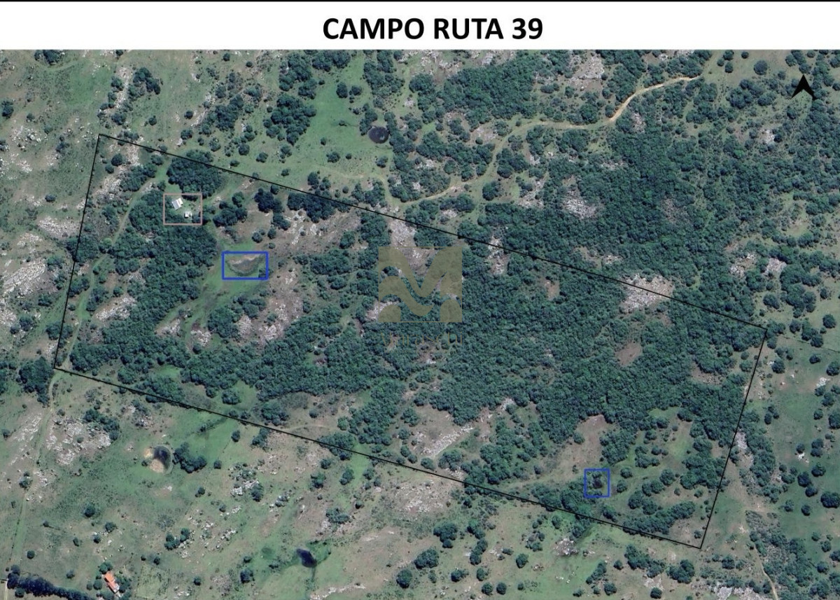 Chacra ID.1015 - Exclusiva Chacra en venta 