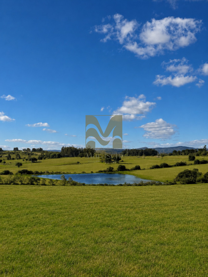 Chacra ID.969 - Venta chacra 5 hectáreas con casa, 2 dormitorios, sobre ruta 39