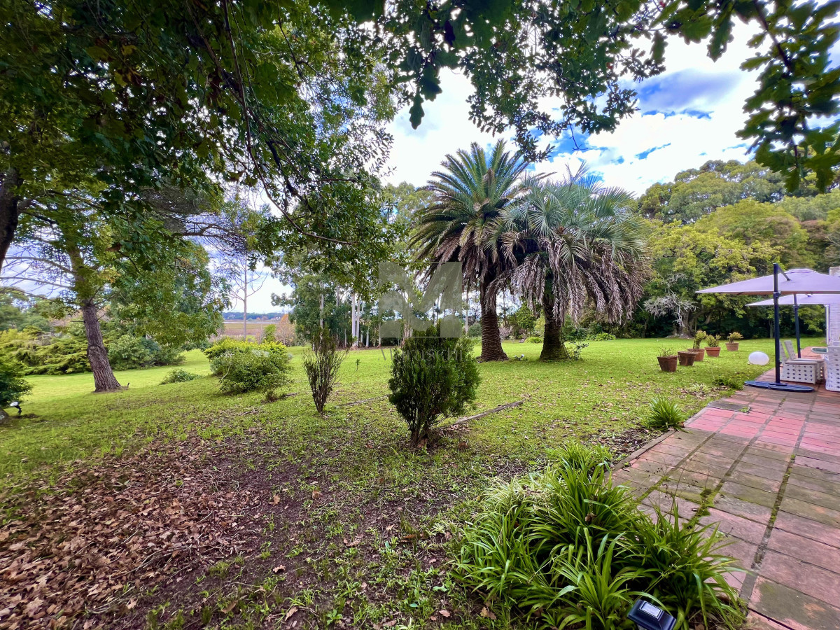 Terreno ID.46 - Venta chacra Punta este, playa mansa, 5 dormitorios, 6 hectareas