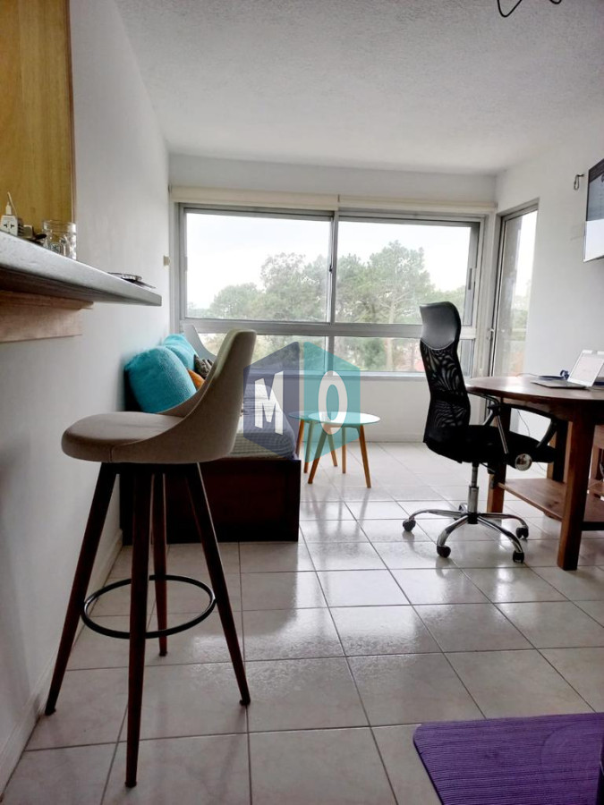 Apartamento ID.890 - Venta apartamento en Punta Del Este 1 dormitorio reciclado, losa radiante, terraza, garage.