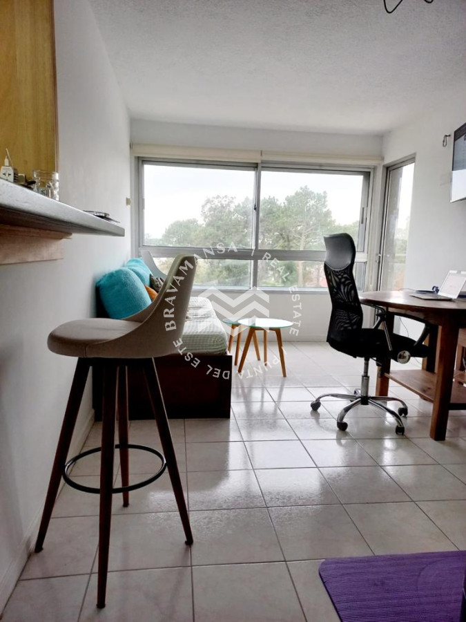Apartamento ID.323 - Venta apartamento en Punta Del Este 1 dormitorio reciclado, losa radiante, terraza, garage.