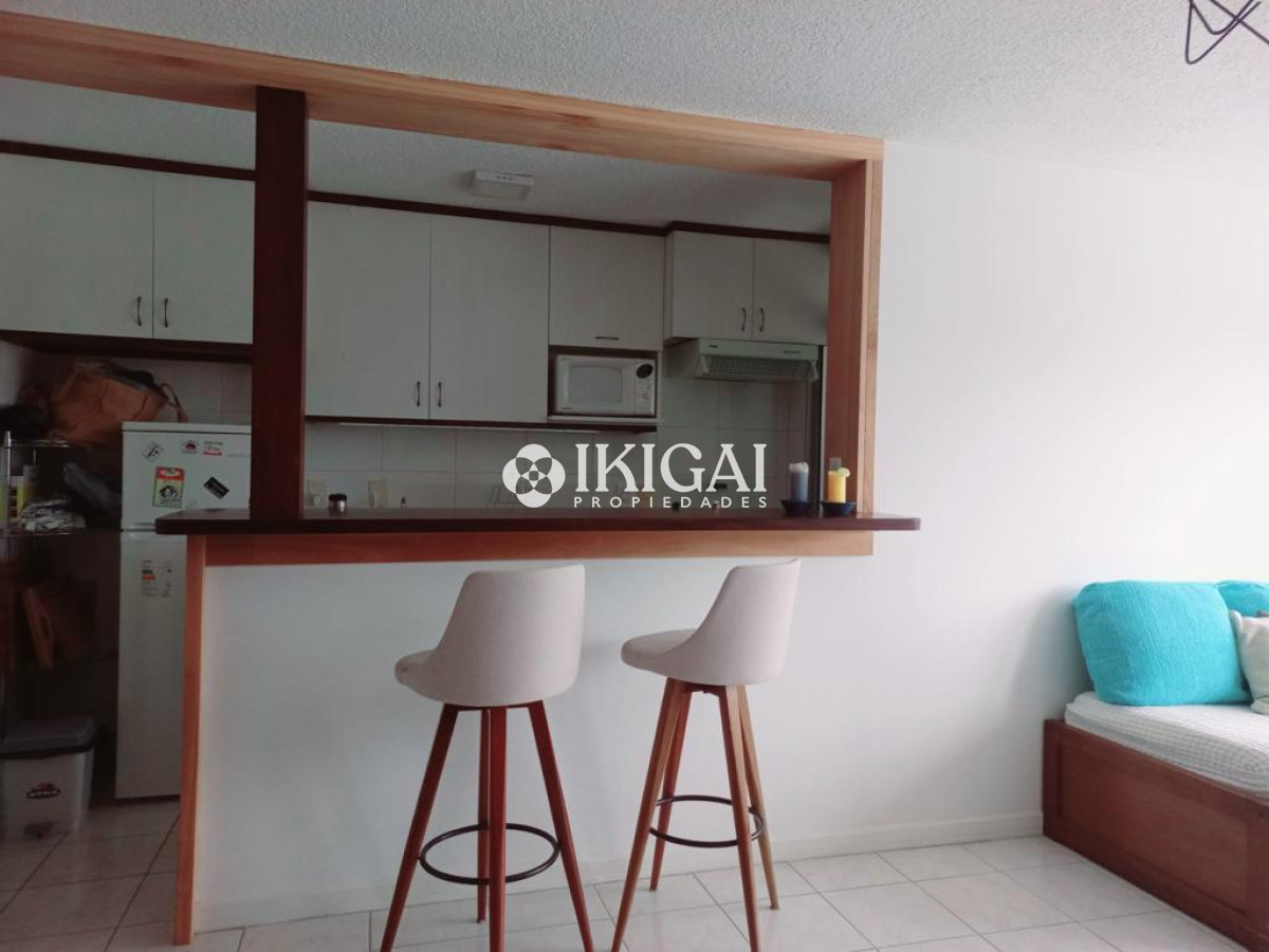 Apartamento ID.259 - Venta apartamento en Punta Del Este 1 dormitorio reciclado, losa radiante, terraza, garage.