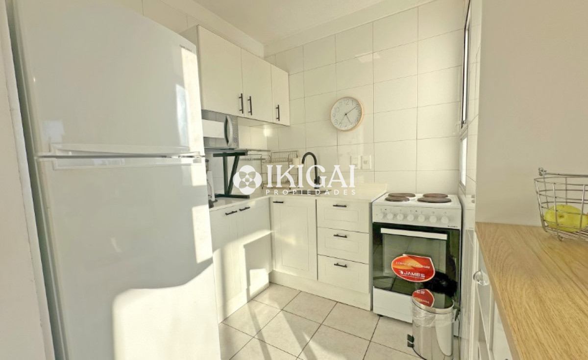 Apartamento ID.825 - ALQUILER DE APARTAMENTO DE 1 DORMITORIO Y MEDIO, PUNTA DEL ESTE 