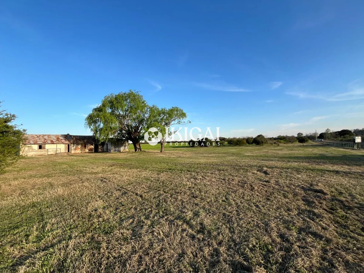 Chacra ID.210 - VENTA CHACRA COLONIA ESTRELLA CARMELO, COLONIA  