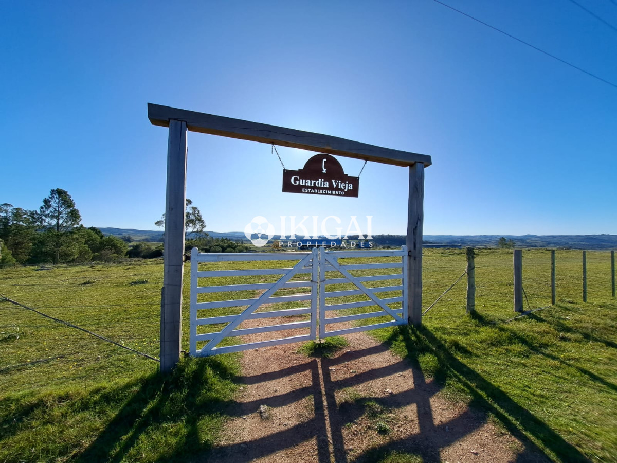 Chacra ID.67 - VENTA DE CHACRA EN PUEBLO EDEN 10 HS 3 DORMITORIOS 3 BAÑOS 1 SUITE