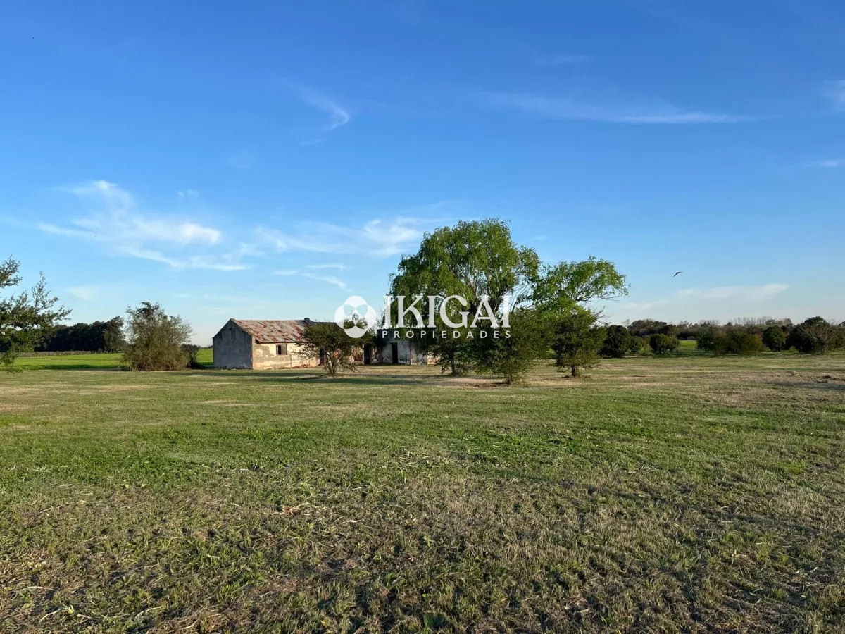 Chacra ID.210 - VENTA CHACRA COLONIA ESTRELLA CARMELO, COLONIA  