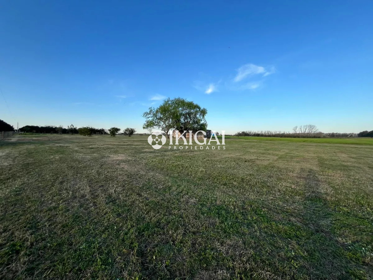 Chacra ID.210 - VENTA CHACRA COLONIA ESTRELLA CARMELO, COLONIA  
