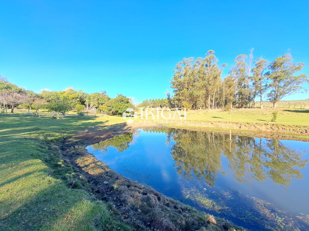 Chacra ID.67 - VENTA DE CHACRA EN PUEBLO EDEN 10 HS 3 DORMITORIOS 3 BAÑOS 1 SUITE