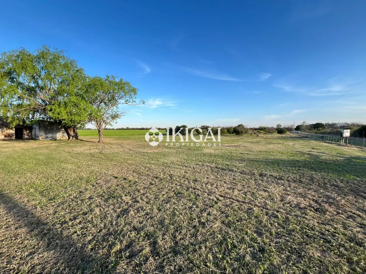 Chacra ID.210 - VENTA CHACRA COLONIA ESTRELLA CARMELO, COLONIA  