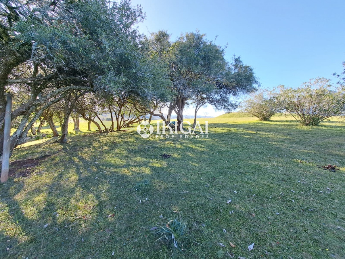 Chacra ID.67 - VENTA DE CHACRA EN PUEBLO EDEN 10 HS 3 DORMITORIOS 3 BAÑOS 1 SUITE