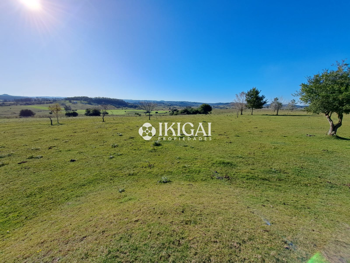 Chacra ID.67 - VENTA DE CHACRA EN PUEBLO EDEN 10 HS 3 DORMITORIOS 3 BAÑOS 1 SUITE