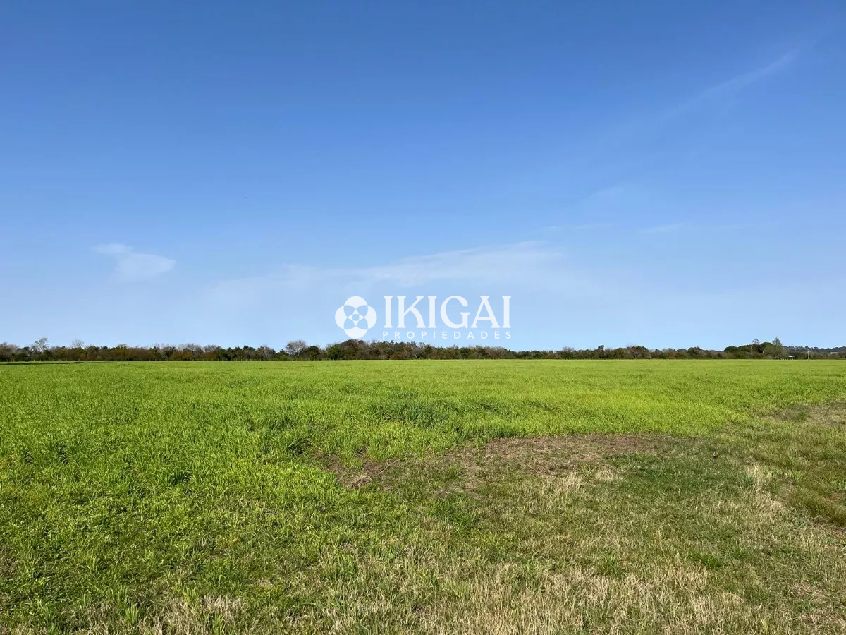 Chacra ID.210 - VENTA CHACRA COLONIA ESTRELLA CARMELO, COLONIA  