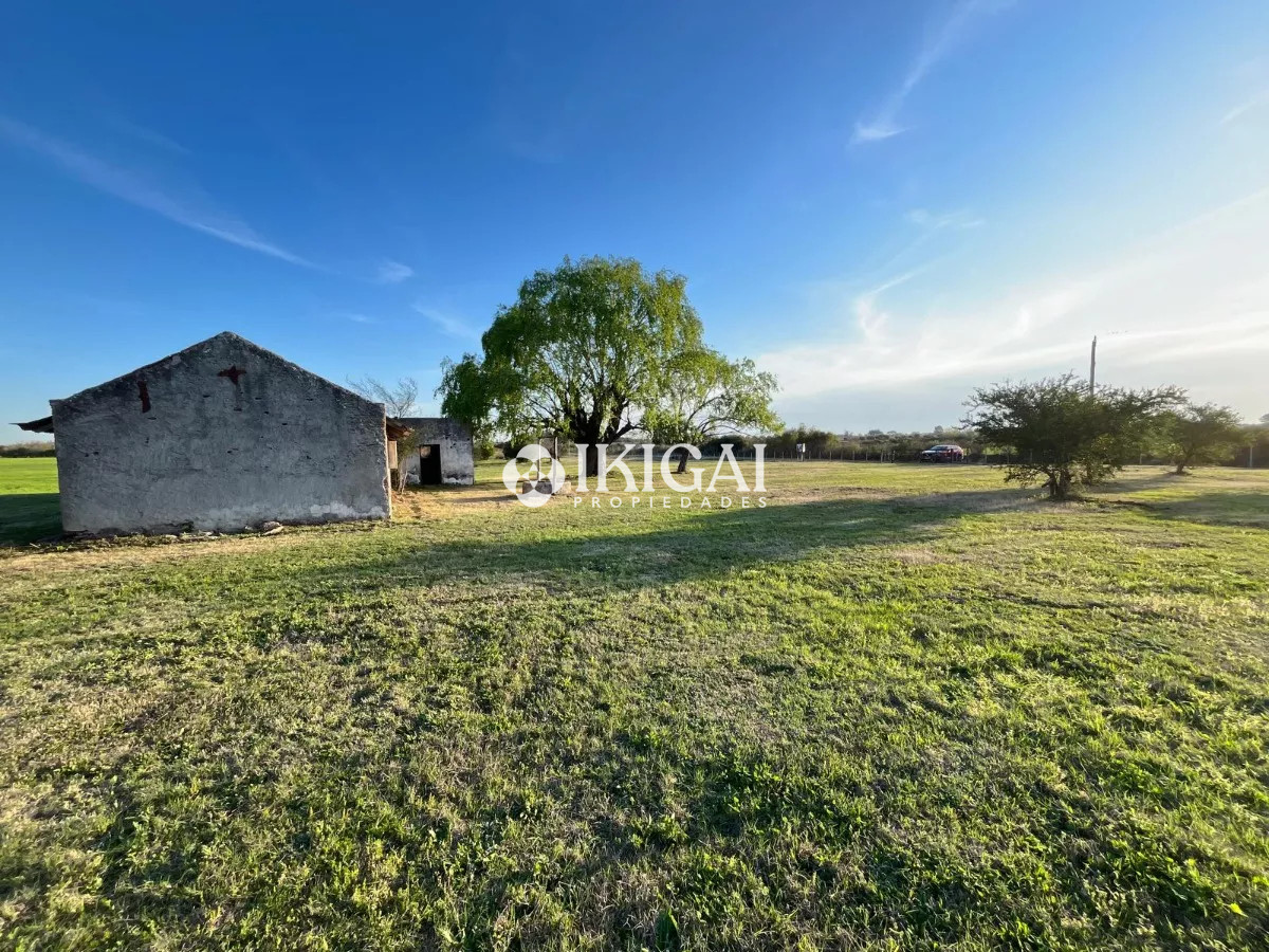 Chacra ID.210 - VENTA CHACRA COLONIA ESTRELLA CARMELO, COLONIA  