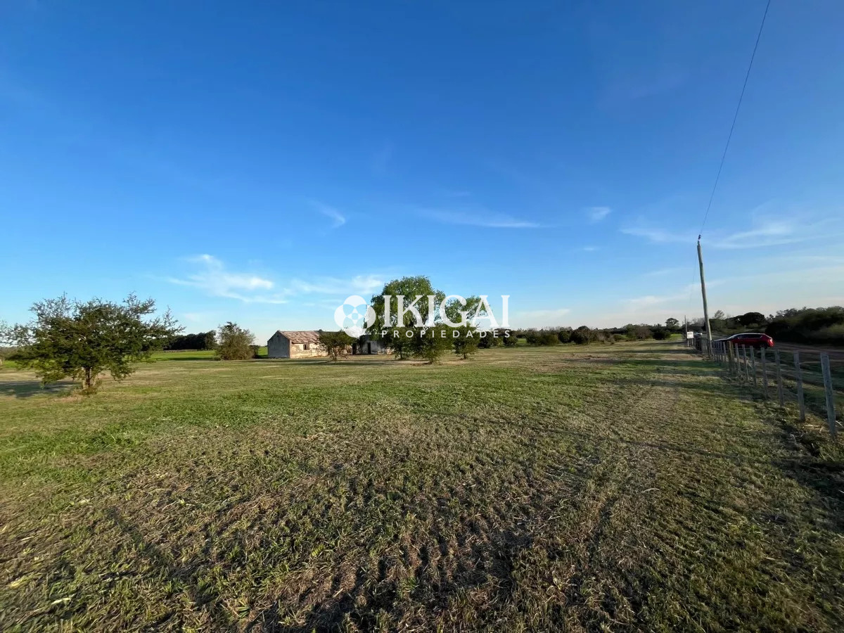 Chacra ID.210 - VENTA CHACRA COLONIA ESTRELLA CARMELO, COLONIA  