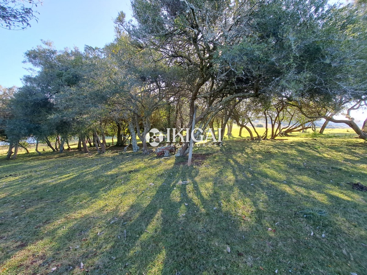 Chacra ID.67 - VENTA DE CHACRA EN PUEBLO EDEN 10 HS 3 DORMITORIOS 3 BAÑOS 1 SUITE