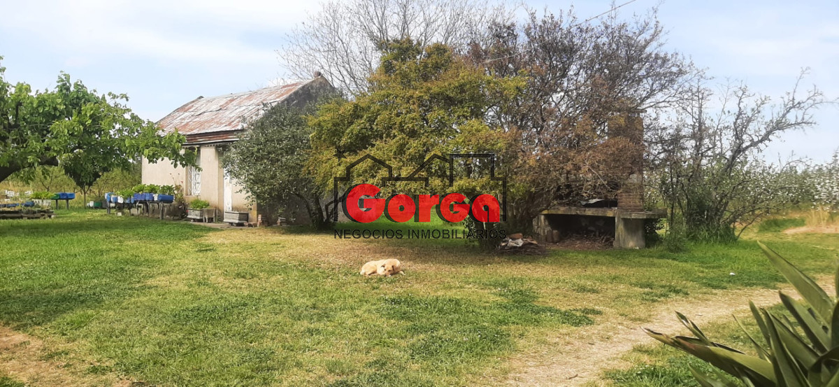 Chacra ID.40 - Con instalaciones de trabajo. Muy buena oportunidad!