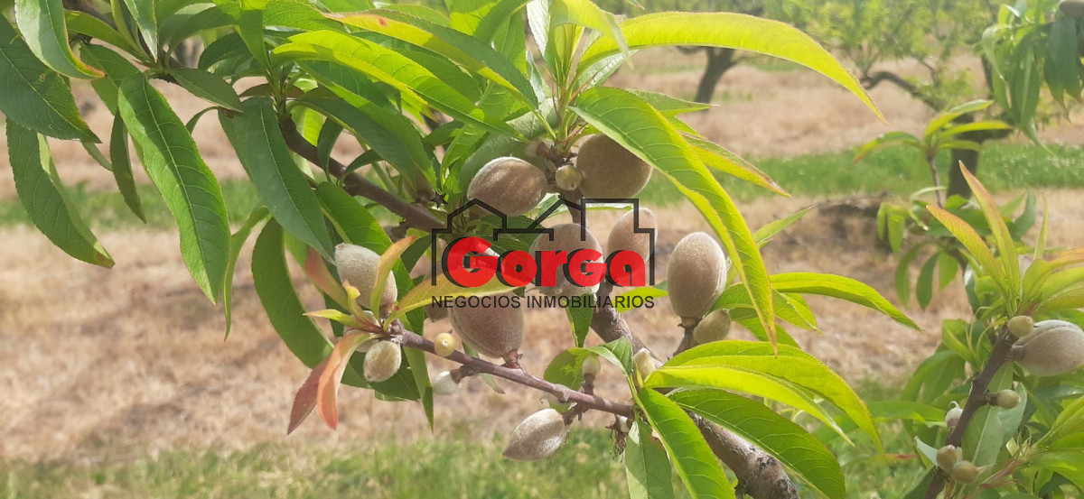 Chacra ID.40 - Con instalaciones de trabajo. Muy buena oportunidad!