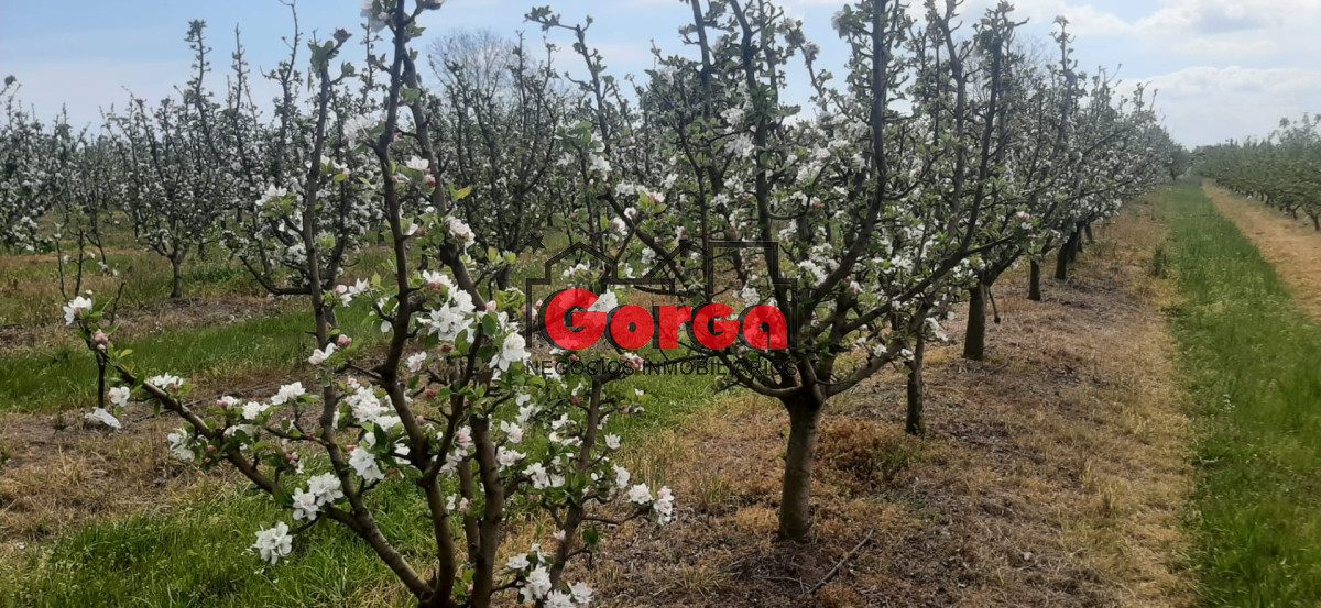 Chacra ID.40 - Con instalaciones de trabajo. Muy buena oportunidad!