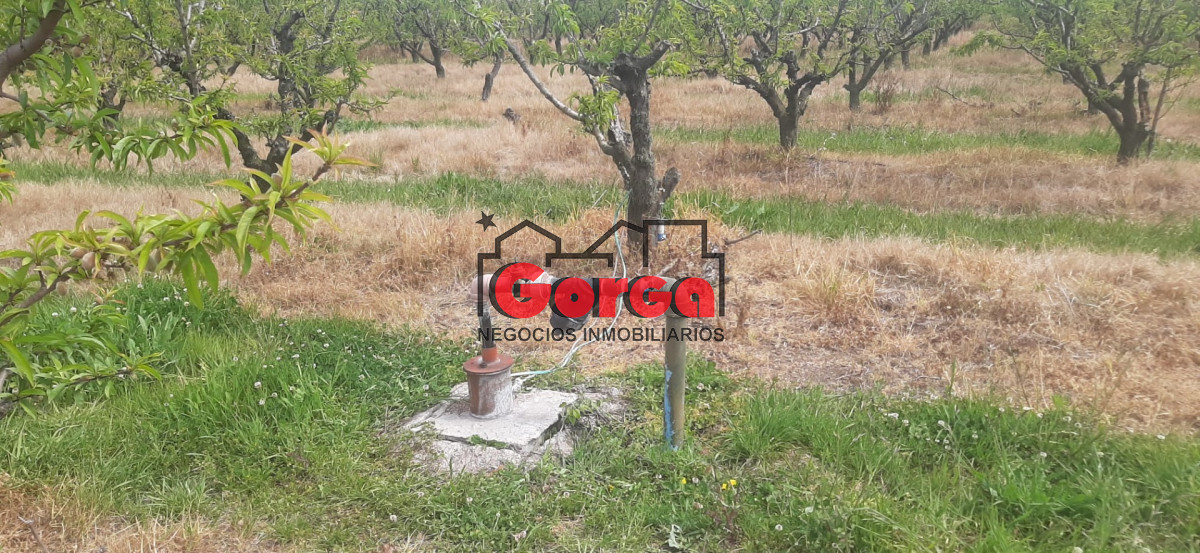 Chacra ID.40 - Con instalaciones de trabajo. Muy buena oportunidad!
