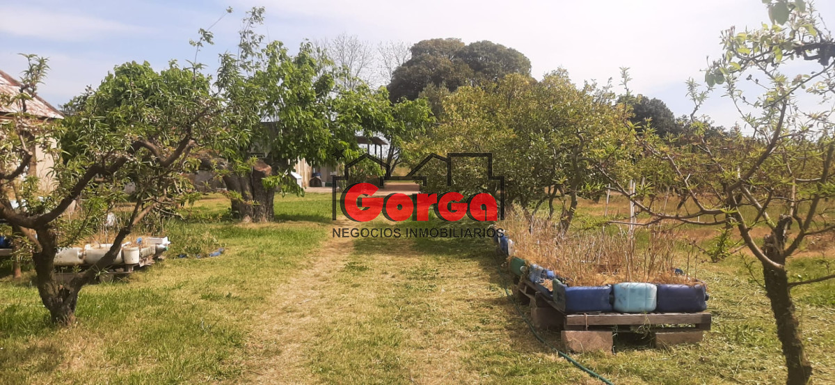 Chacra ID.40 - Con instalaciones de trabajo. Muy buena oportunidad!
