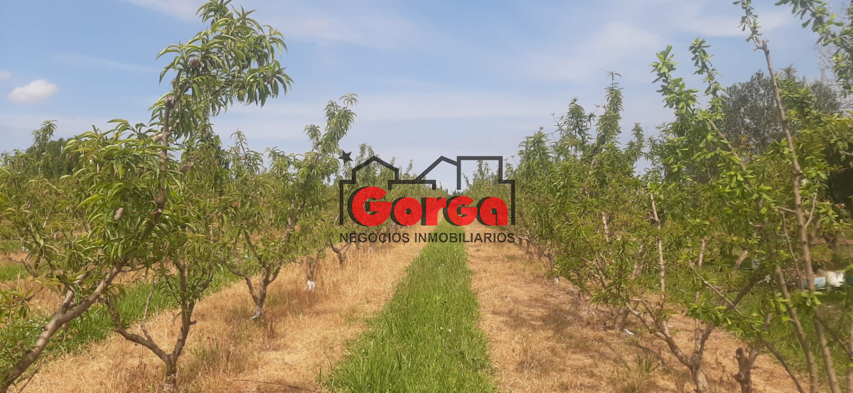 Chacra ID.40 - Con instalaciones de trabajo. Muy buena oportunidad!