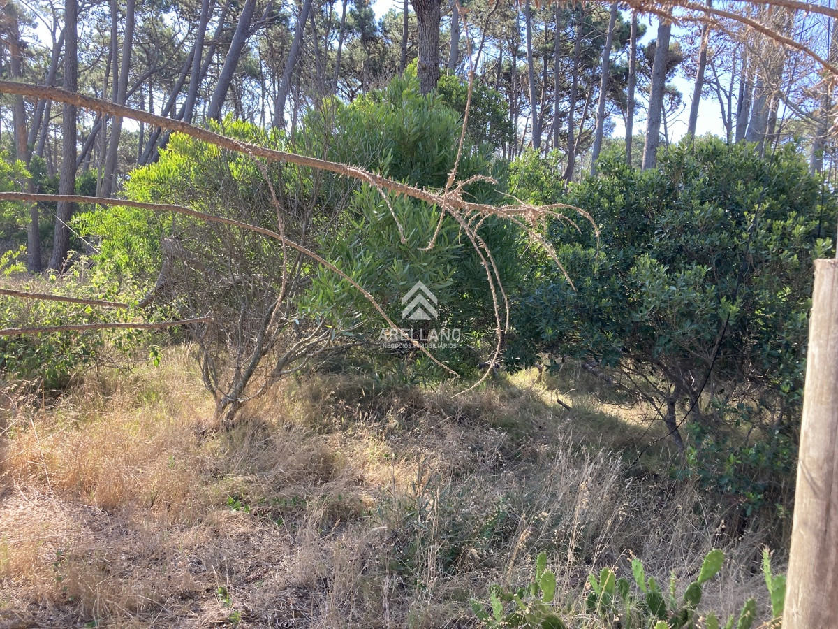 Terreno ID.3498 - Vendo terreno en Ocean Park
