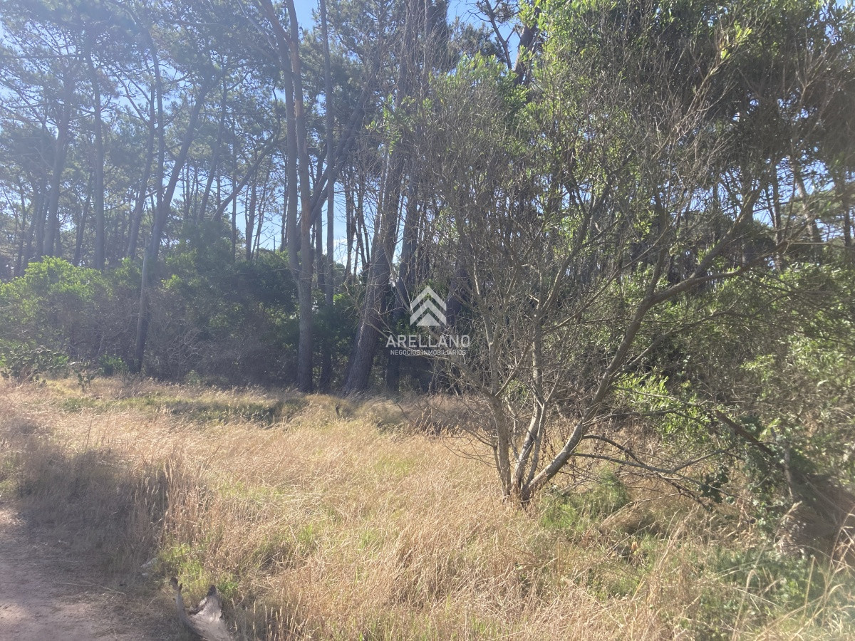 Terreno ID.3498 - Vendo terreno en Ocean Park