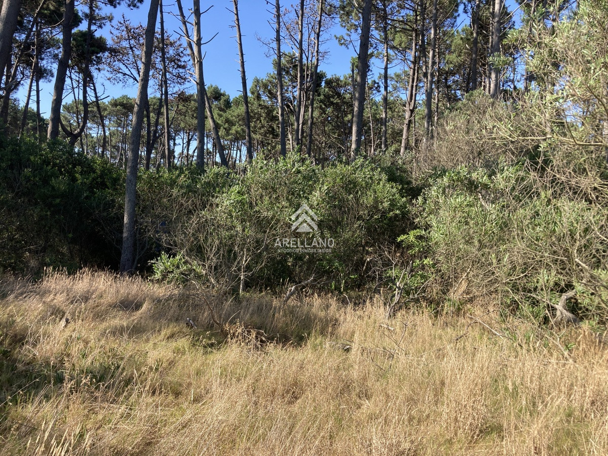 Terreno ID.3498 - Vendo terreno en Ocean Park