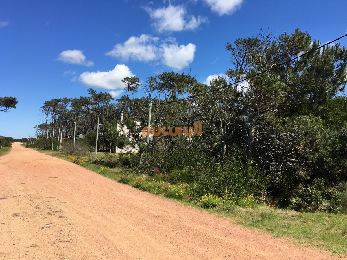 Ocean Park - GoPunta - Portal Inmobiliario de Punta del Este - Maldonado