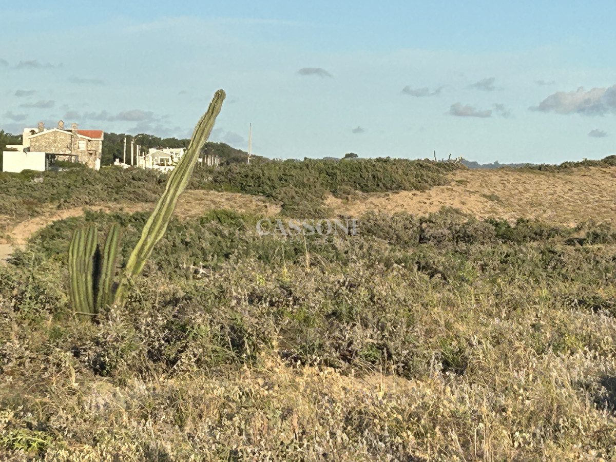 Terreno ID.3960 - Vendo en Primera Línea del Mar 2450 M2