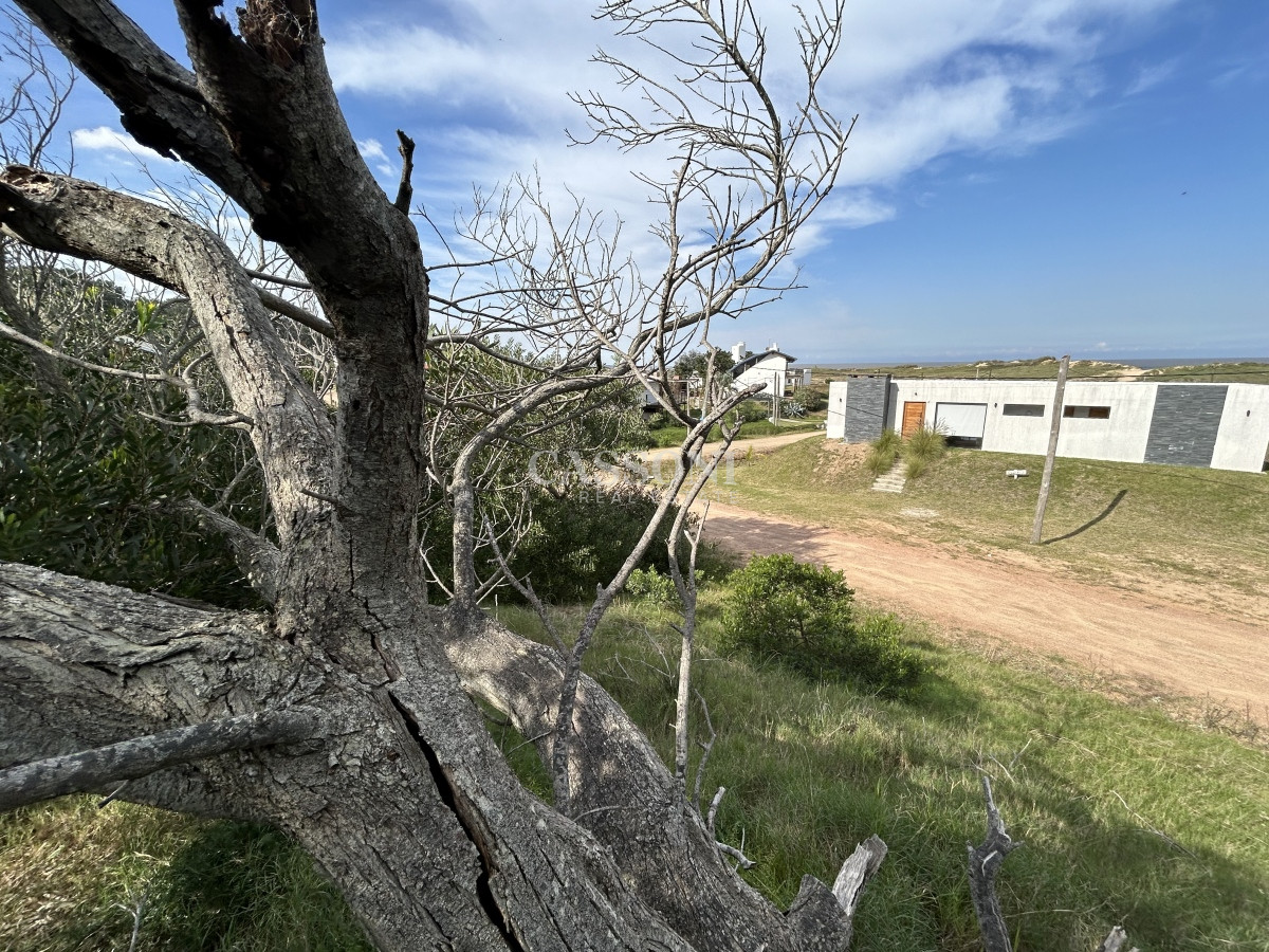 Terreno ID.2720 - Vendemos Terrenos (3) de 1366 M2 a 100 mts de la playa de Ocean Park