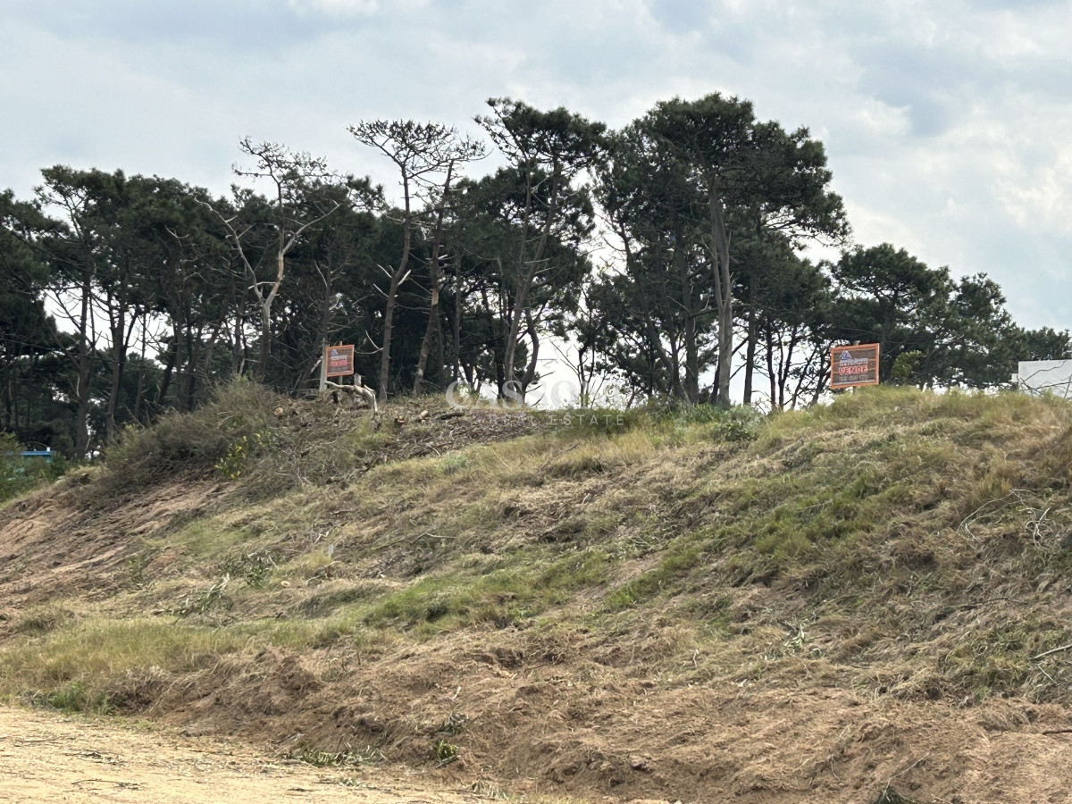 Terreno ID.2720 - Vendemos Terrenos (3) de 1366 M2 a 100 mts de la playa de Ocean Park