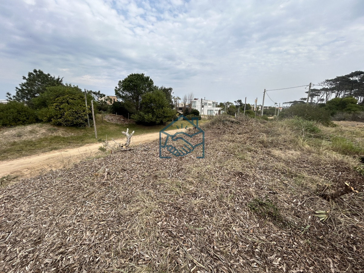 Terreno ID.1201/Vendemos-Terrenos-(3)-de-1366-M2-a-100-mts-de-la-playa-de-Ocean-Park - Vendemos Terrenos (3) de 1366 M2 a 100 mts de la playa de Ocean Park