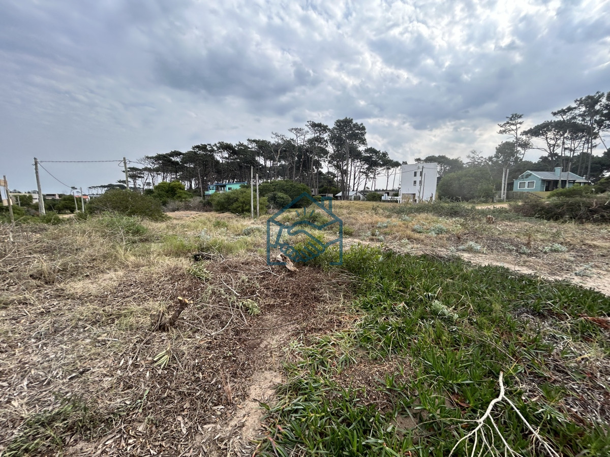 Terreno ID.1201/Vendemos-Terrenos-(3)-de-1366-M2-a-100-mts-de-la-playa-de-Ocean-Park - Vendemos Terrenos (3) de 1366 M2 a 100 mts de la playa de Ocean Park