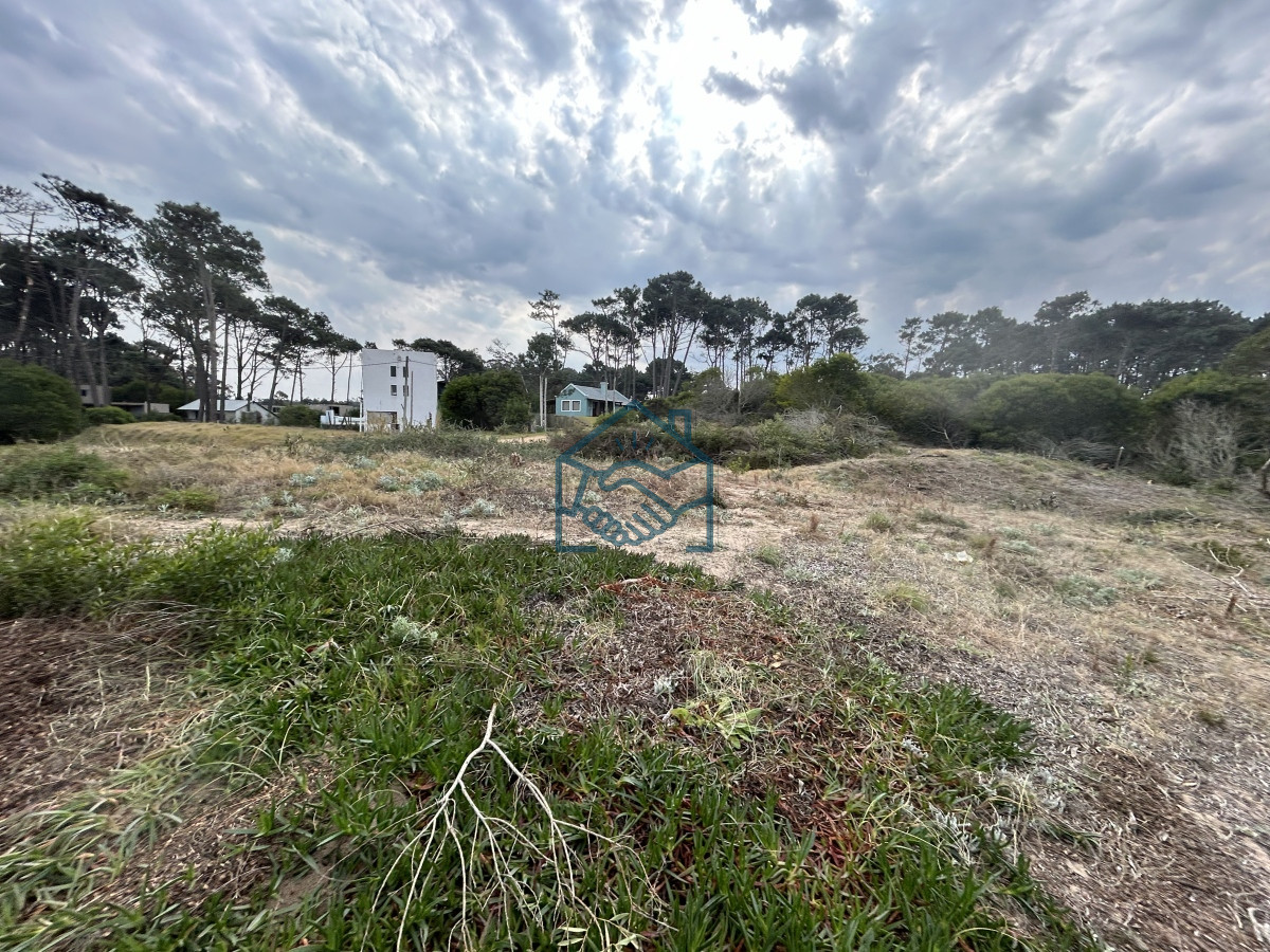 Terreno ID.1201/Vendemos-Terrenos-(3)-de-1366-M2-a-100-mts-de-la-playa-de-Ocean-Park - Vendemos Terrenos (3) de 1366 M2 a 100 mts de la playa de Ocean Park