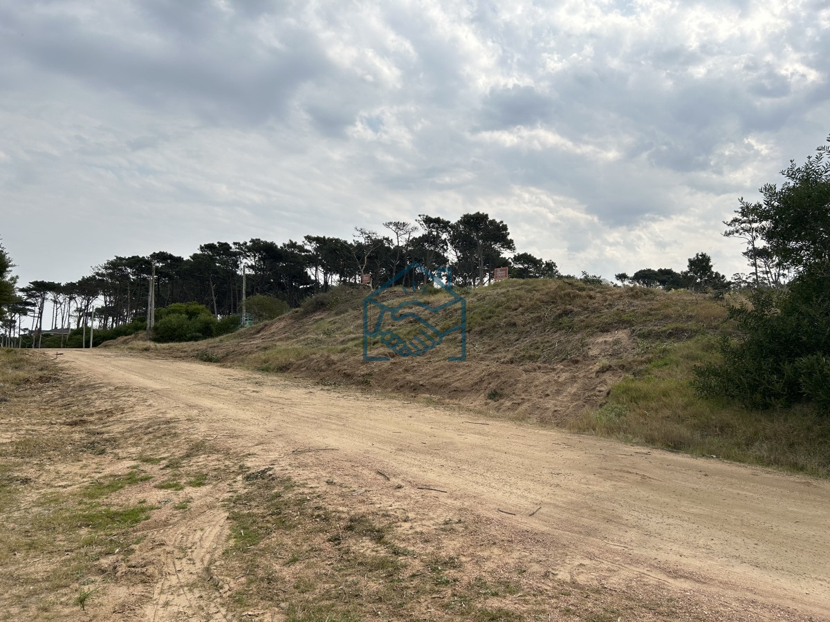 Terreno ID.1201/Vendemos-Terrenos-(3)-de-1366-M2-a-100-mts-de-la-playa-de-Ocean-Park - Vendemos Terrenos (3) de 1366 M2 a 100 mts de la playa de Ocean Park