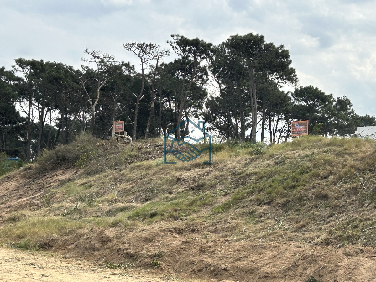 Terreno ID.1201/Vendemos-Terrenos-(3)-de-1366-M2-a-100-mts-de-la-playa-de-Ocean-Park - Vendemos Terrenos (3) de 1366 M2 a 100 mts de la playa de Ocean Park