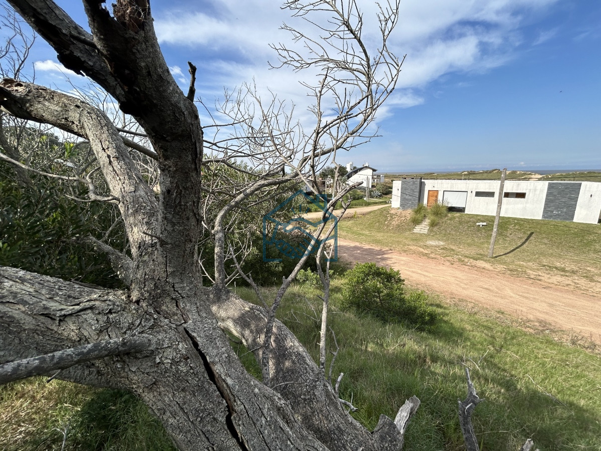 Terreno ID.1201/Vendemos-Terrenos-(3)-de-1366-M2-a-100-mts-de-la-playa-de-Ocean-Park - Vendemos Terrenos (3) de 1366 M2 a 100 mts de la playa de Ocean Park