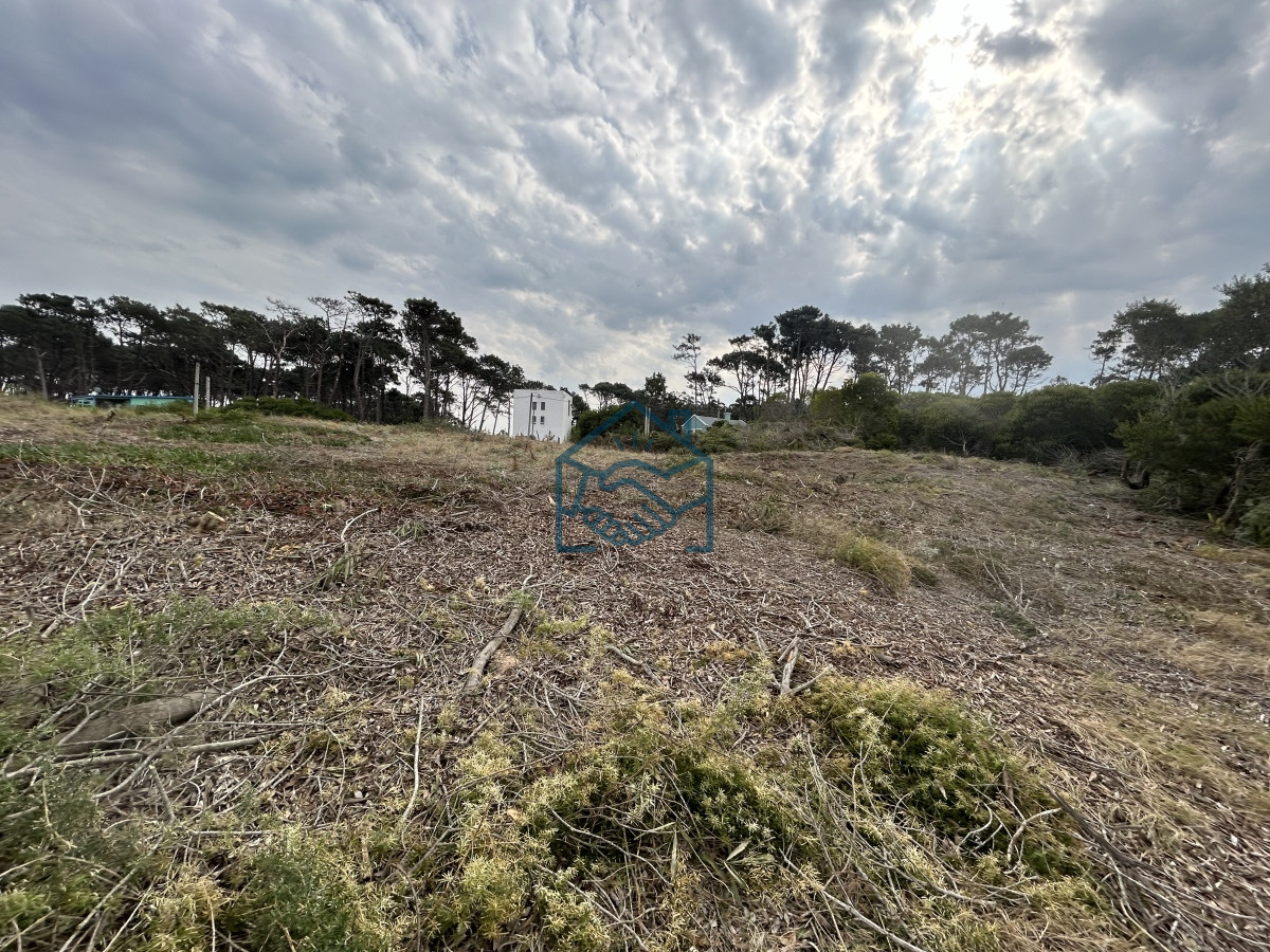 Terreno ID.1201/Vendemos-Terrenos-(3)-de-1366-M2-a-100-mts-de-la-playa-de-Ocean-Park - Vendemos Terrenos (3) de 1366 M2 a 100 mts de la playa de Ocean Park