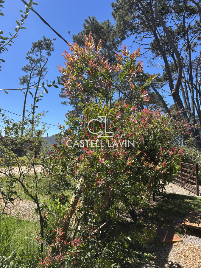 Casa ID.143 - Venta Casa a Estrenar en Ocean Park Punta Ballena