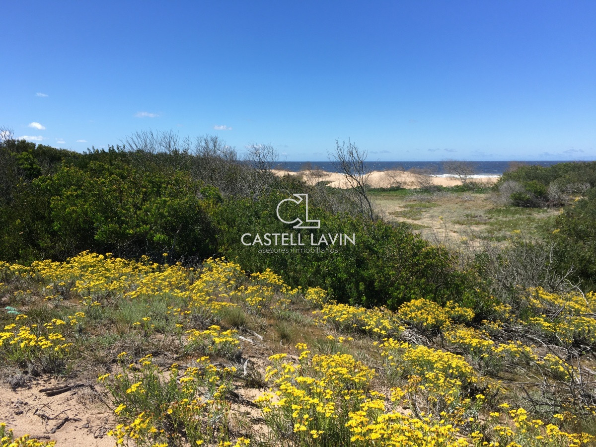 Terreno ID.280 - Venta Terreno en la Rambla de Ocean Park Punta Ballena
