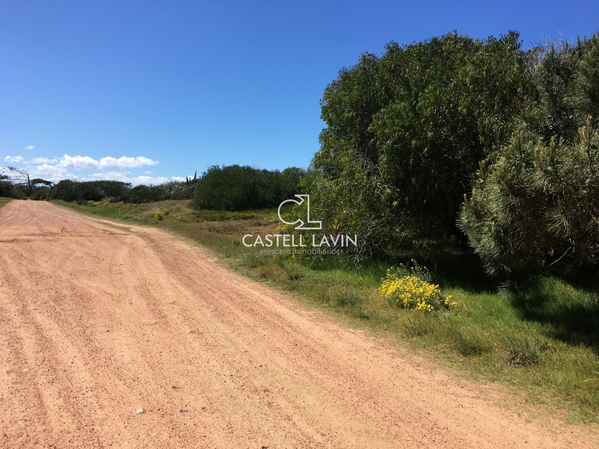 Terreno ID.280 - Venta Terreno en la Rambla de Ocean Park Punta Ballena