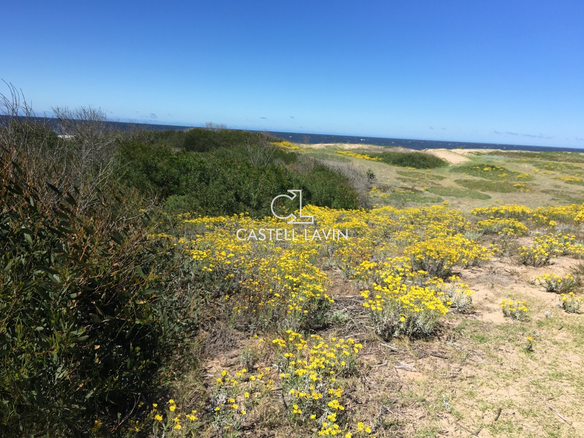 Terreno ID.280 - Venta Terreno en la Rambla de Ocean Park Punta Ballena