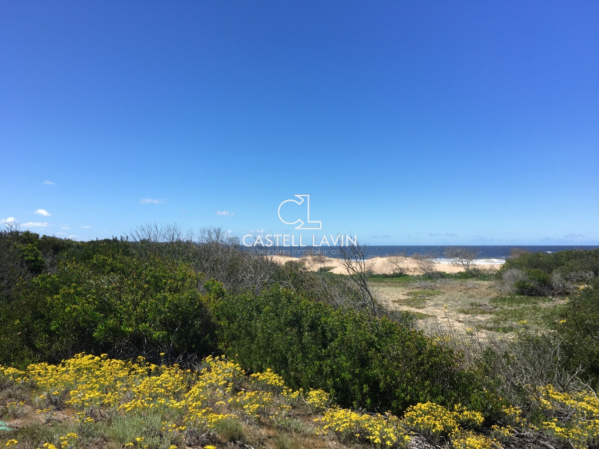 Terreno ID.280 - Venta Terreno en la Rambla de Ocean Park Punta Ballena