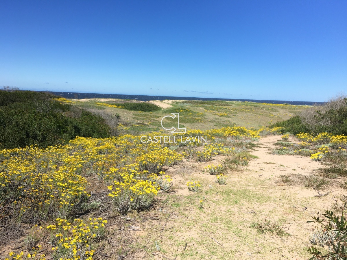 Terreno ID.280 - Venta Terreno en la Rambla de Ocean Park Punta Ballena
