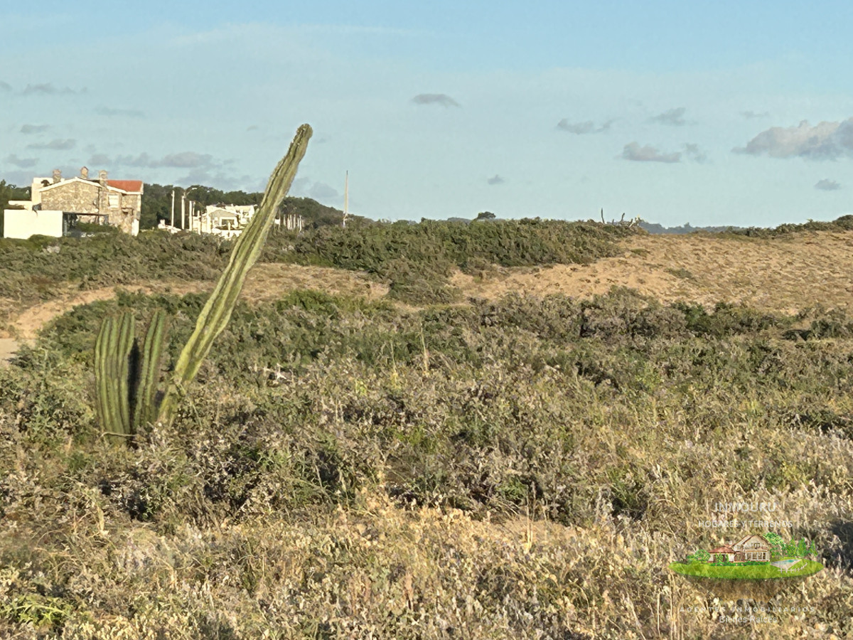 Terreno ID.546 - Vendo en Primera Línea del Mar 2450 M2