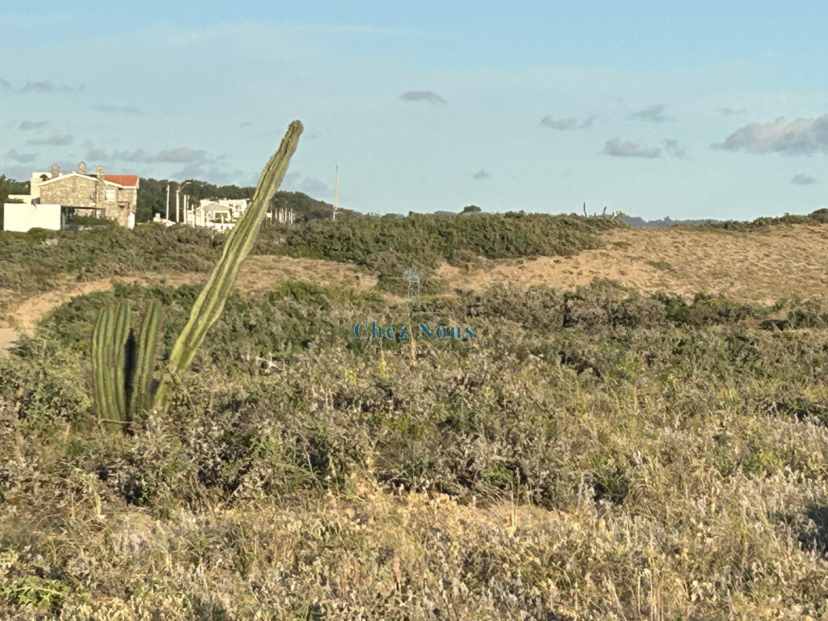 Terreno ID.423 - Vendo en Primera Línea del Mar 2450 M2
